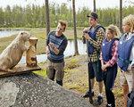 Rundreise Familienaktivreise ins schwedische Tierreich