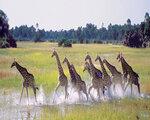 Bild zur Safari-Rundreise