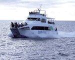 Rundreise Blue Lagoon Cruises - 4 Nchte - Fiji Princess