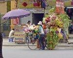 Rundreise Vietnam auf eigene Faust - Englischsprechende Reiseleitung