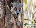 Rundreise Madagaskars Naturparadies