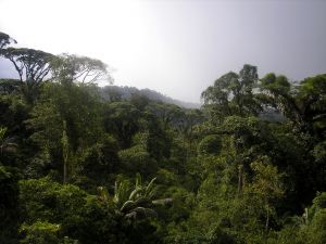 Wanderungen in Costa Rica