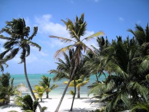 Badeurlaub auf der Halbinsel Samana 