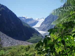Fox Glacier in Neuseeland