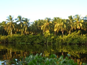 Rundreise Venezuela zum Orinoco