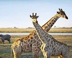 Rundreise Safari ohne Grenzen im Sdlichen Afrika