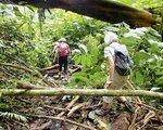 Rundreise Gruppenreise So Tom & Prncipe: Verzaubernde Kakaoinseln im Atlantik