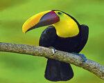 Rundreise Privatrundreise Naturwunder Costa Ricas