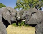 Rundreise Safariromantik - Botswana und Victoria Falls