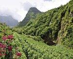 Rundreise Levadas, ppige Vegetation und raue Ksten - Klassisches Madeira