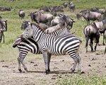 Rundreise Tansanias Tierparadiese