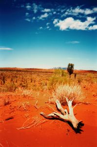 Outback von Australien