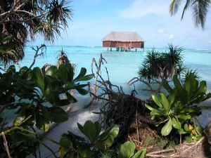 Die Malediven, mehr als nur das Male-Atoll