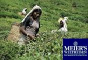 Sri Lanka Classic - Privat - Meiers Weltreisen